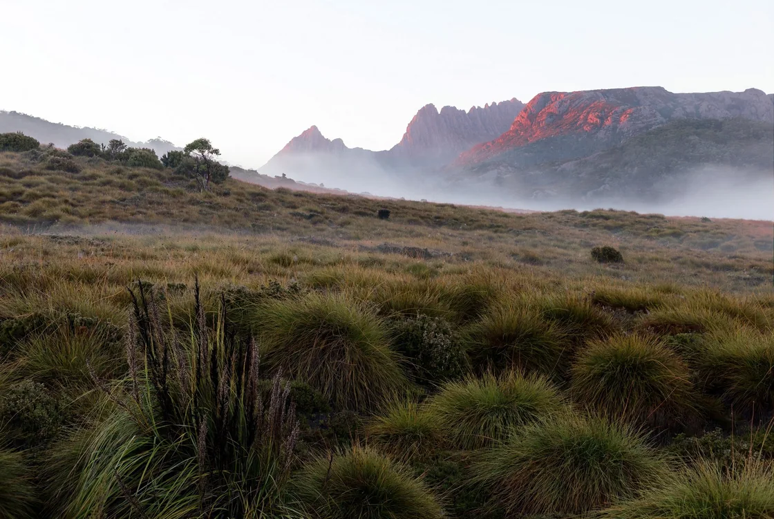 Morning light over the scrublands and jagged mountains at Cradle Mountain