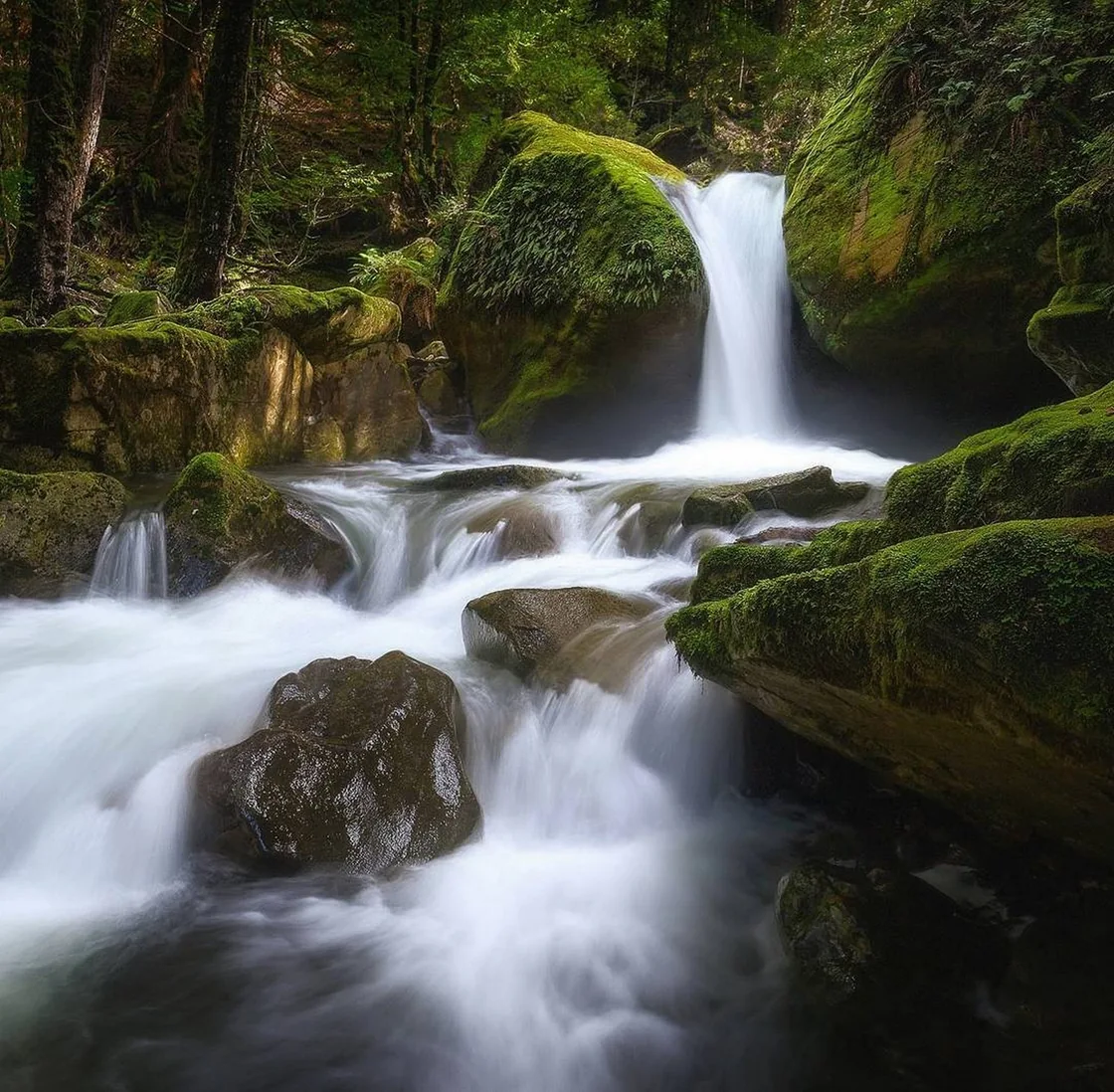 A waterfall cascading between moss-covered rocks in a forest